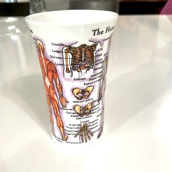 NEW Dunoon Glencoe Bone China Human Body Coffee Cup. - Picture 2 of 8